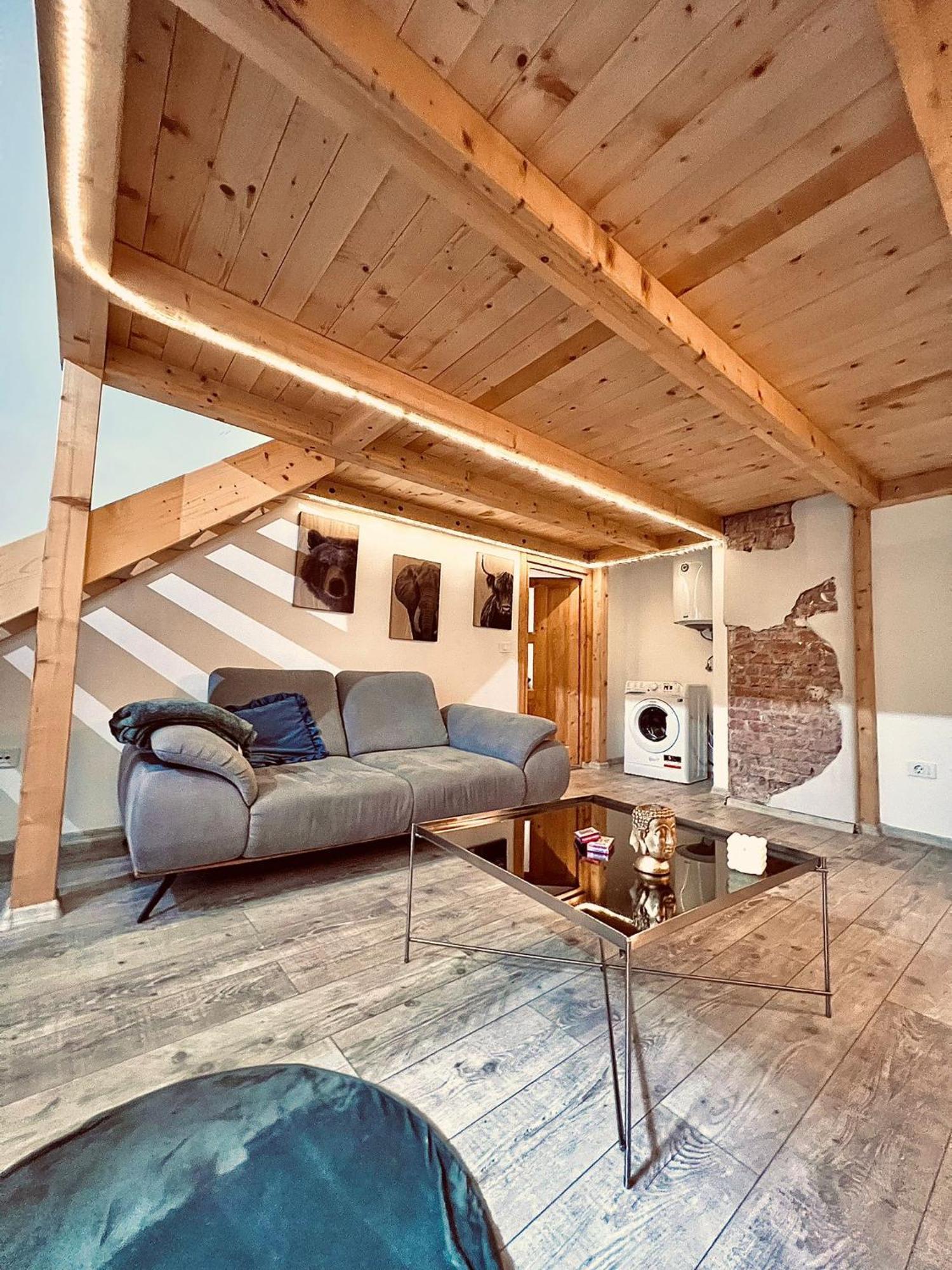 Central Cluj Apartament 外观 照片
