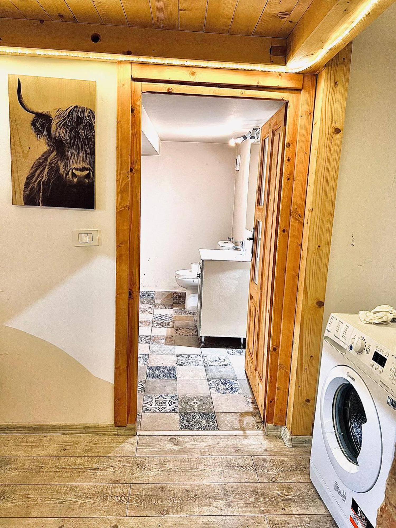 Central Cluj Apartament 外观 照片